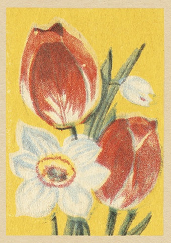 Tulips Mother's Day Card